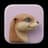 OttoSocial otter logo